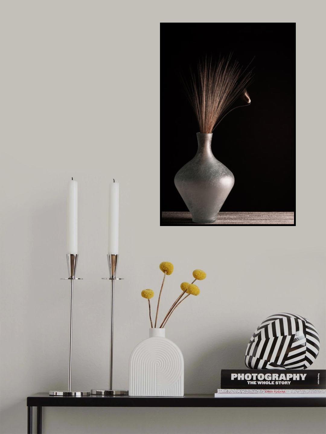 Curve III Poster och Canvastavla