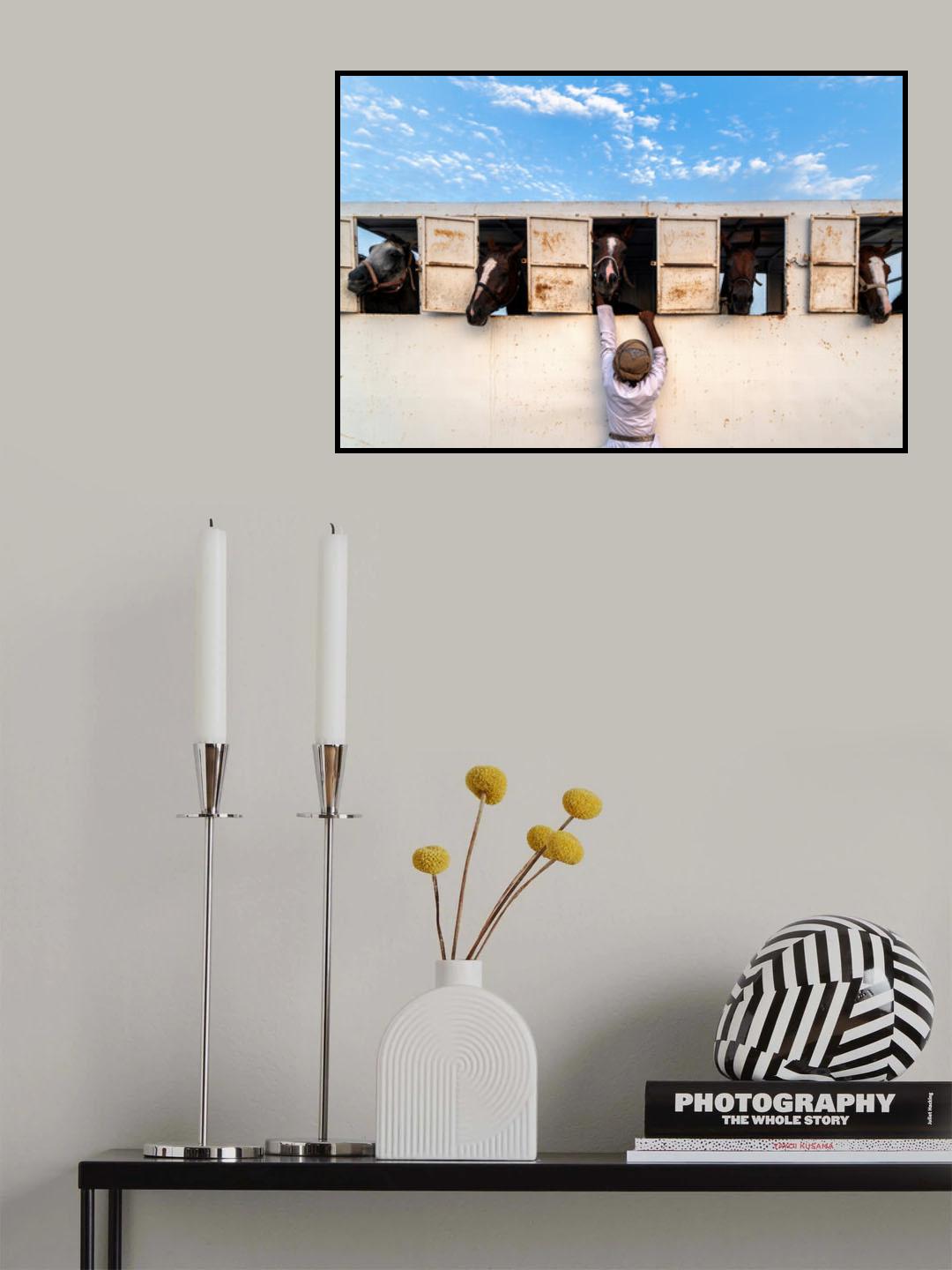Horses Poster och Canvastavla