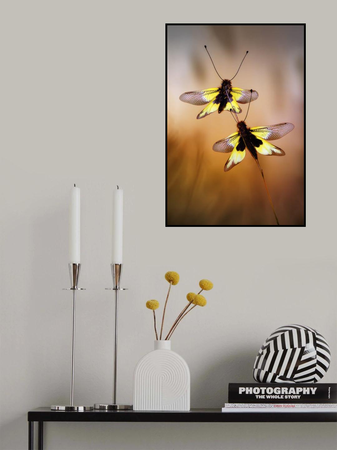 Owlflies Poster och Canvastavla