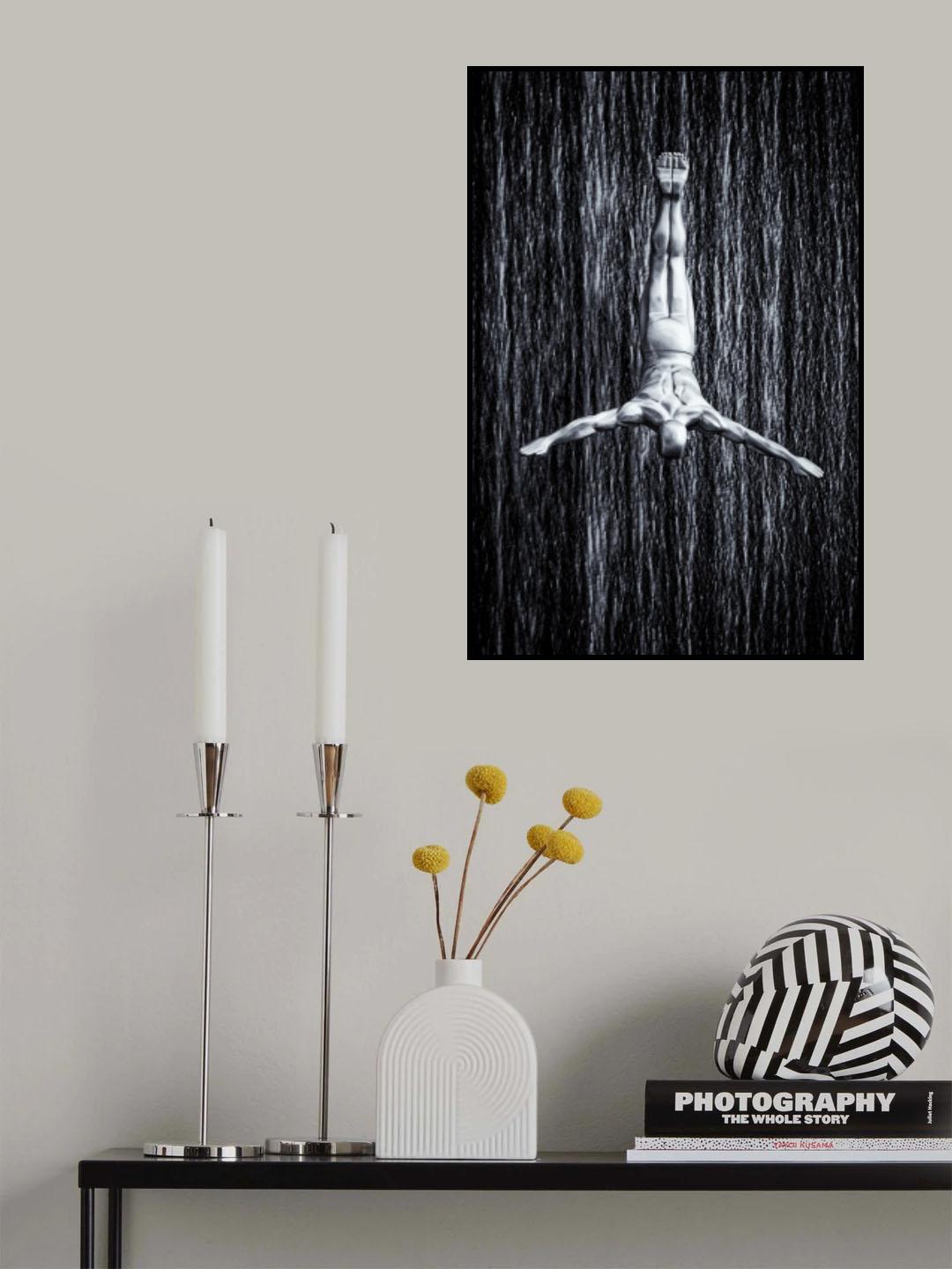 fine diving Poster och Canvastavla