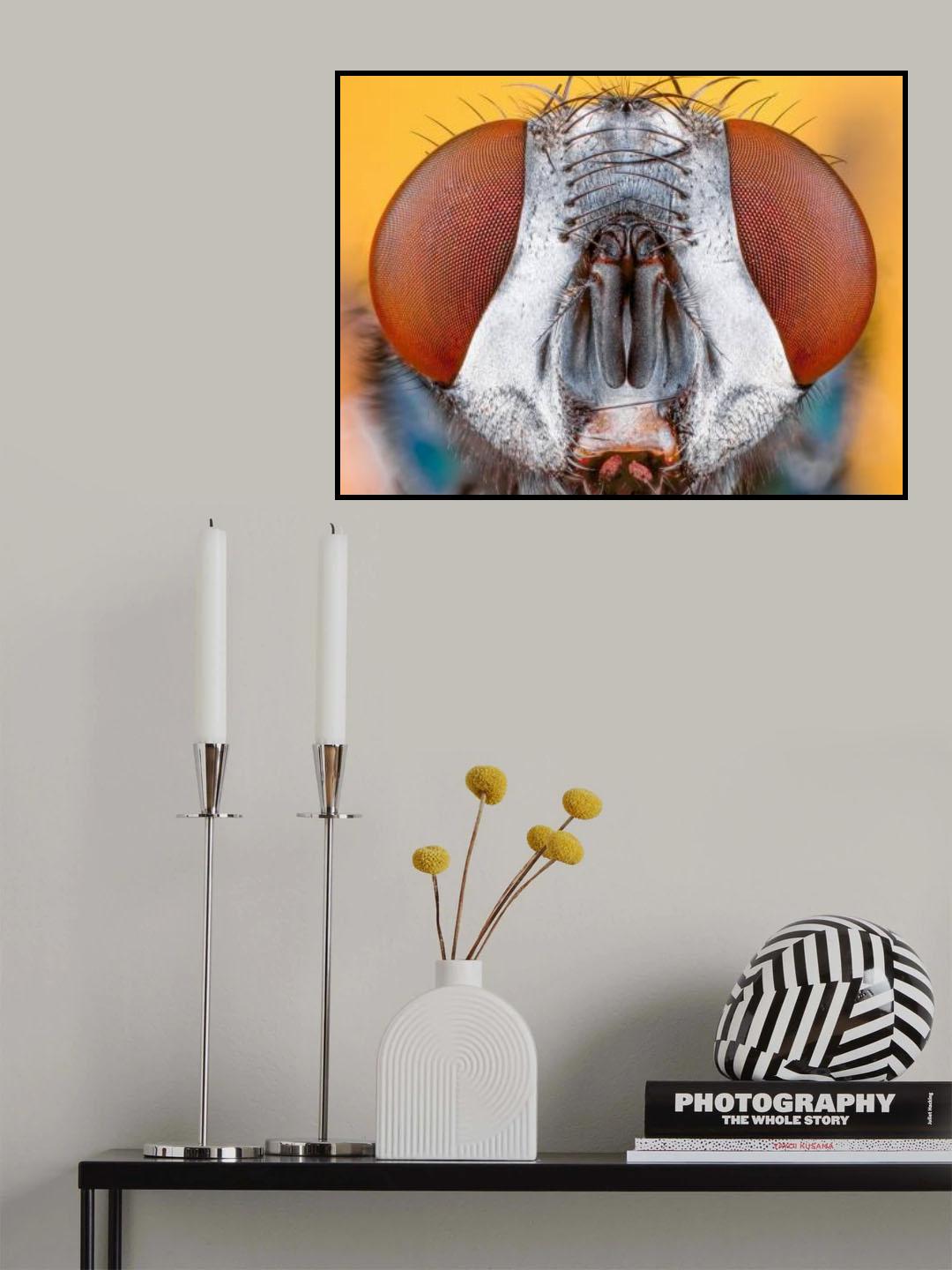 "Blow fly" Poster och Canvastavla