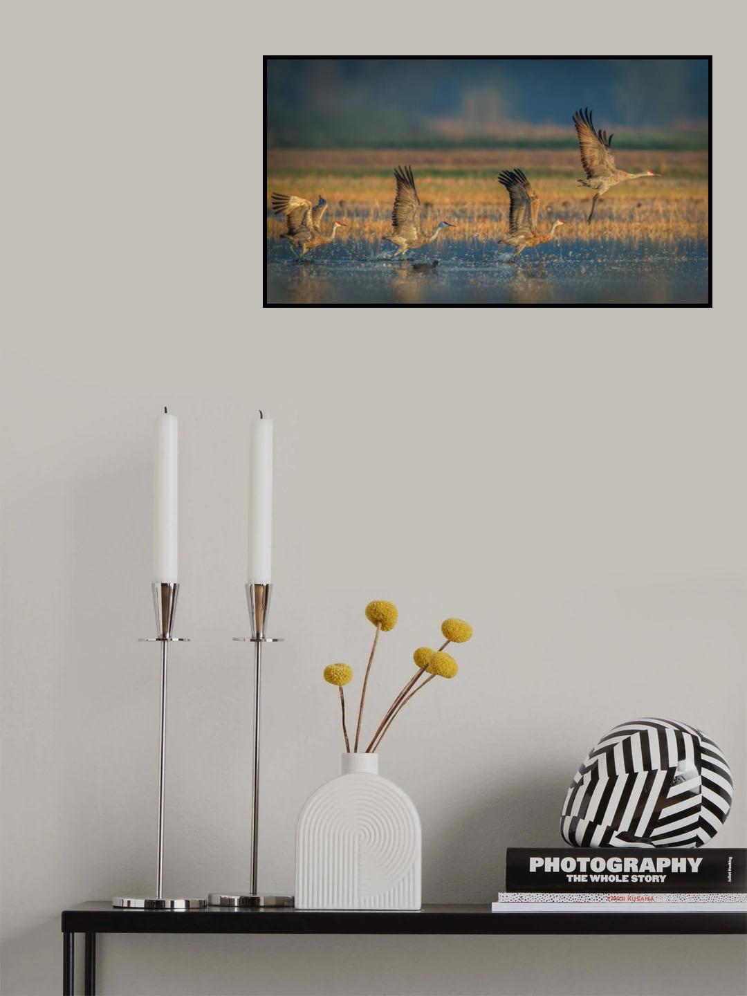 Ready for takeoff Poster och Canvastavla