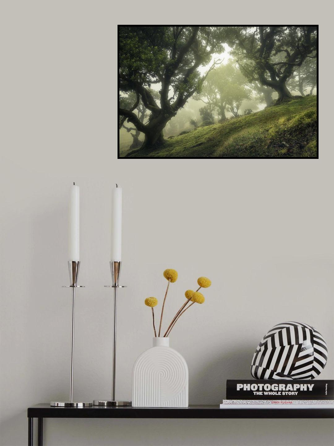 Enchanted Forest Poster och Canvastavla