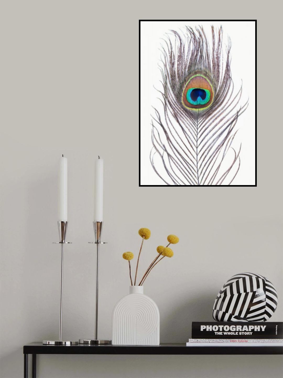 Peacock Feather Poster och Canvastavla