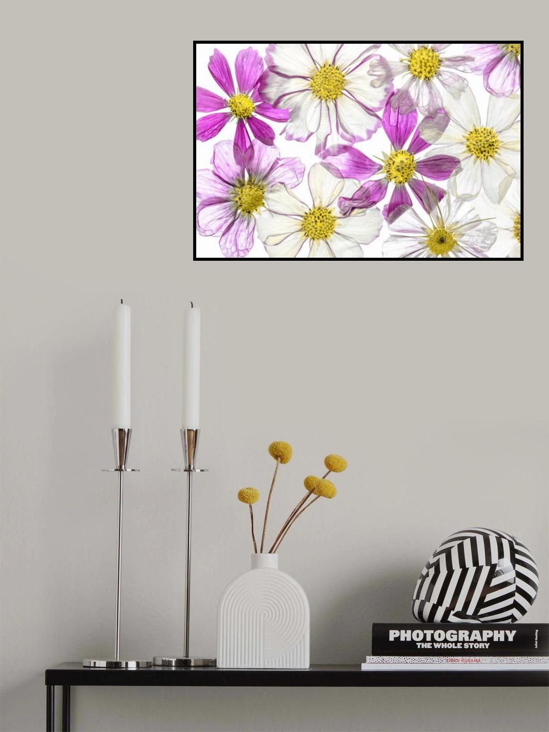 Keeping Summer Poster och Canvastavla