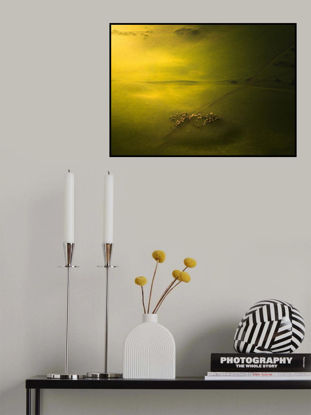 The Sheep in The Green Land Poster och Canvastavla
