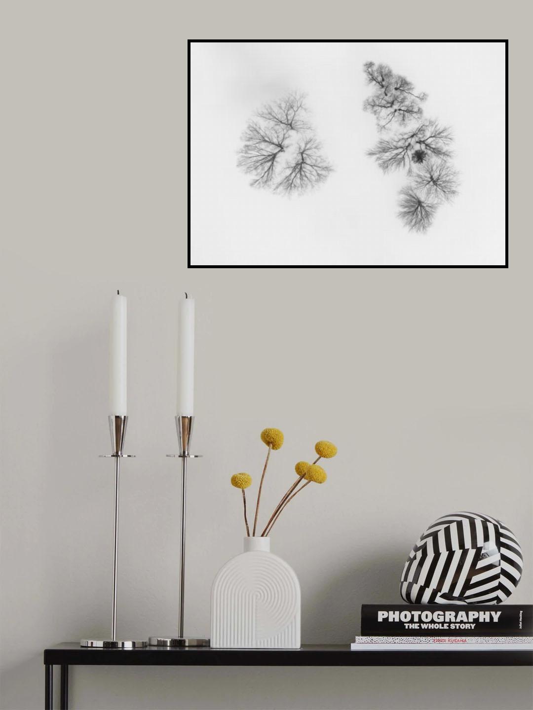 Dancing trees Poster och Canvastavla