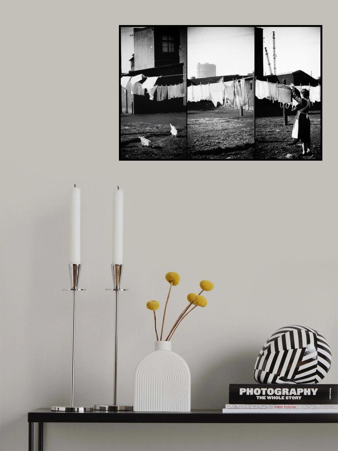 white laundry Poster och Canvastavla
