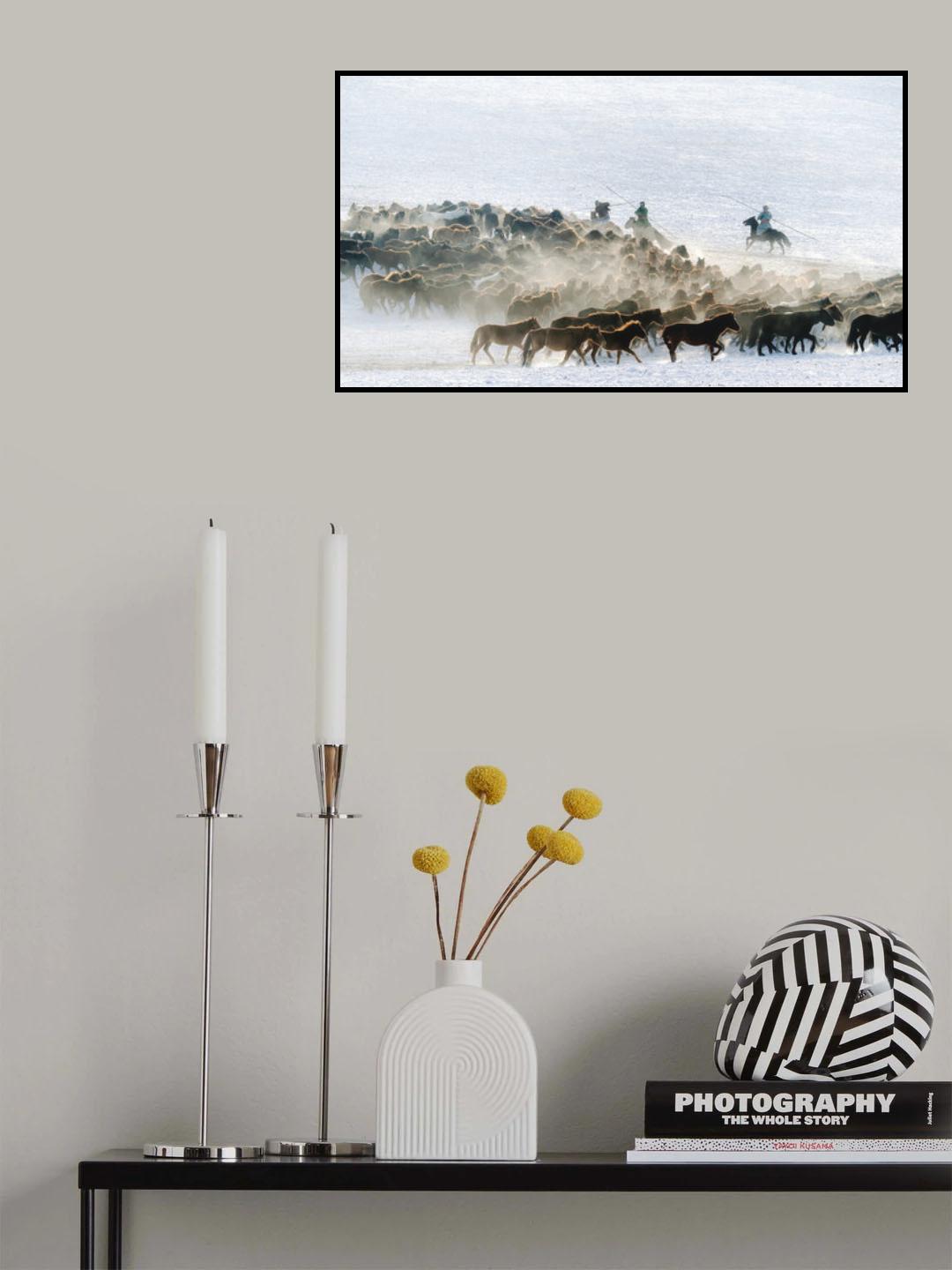 Fine Horses Poster och Canvastavla