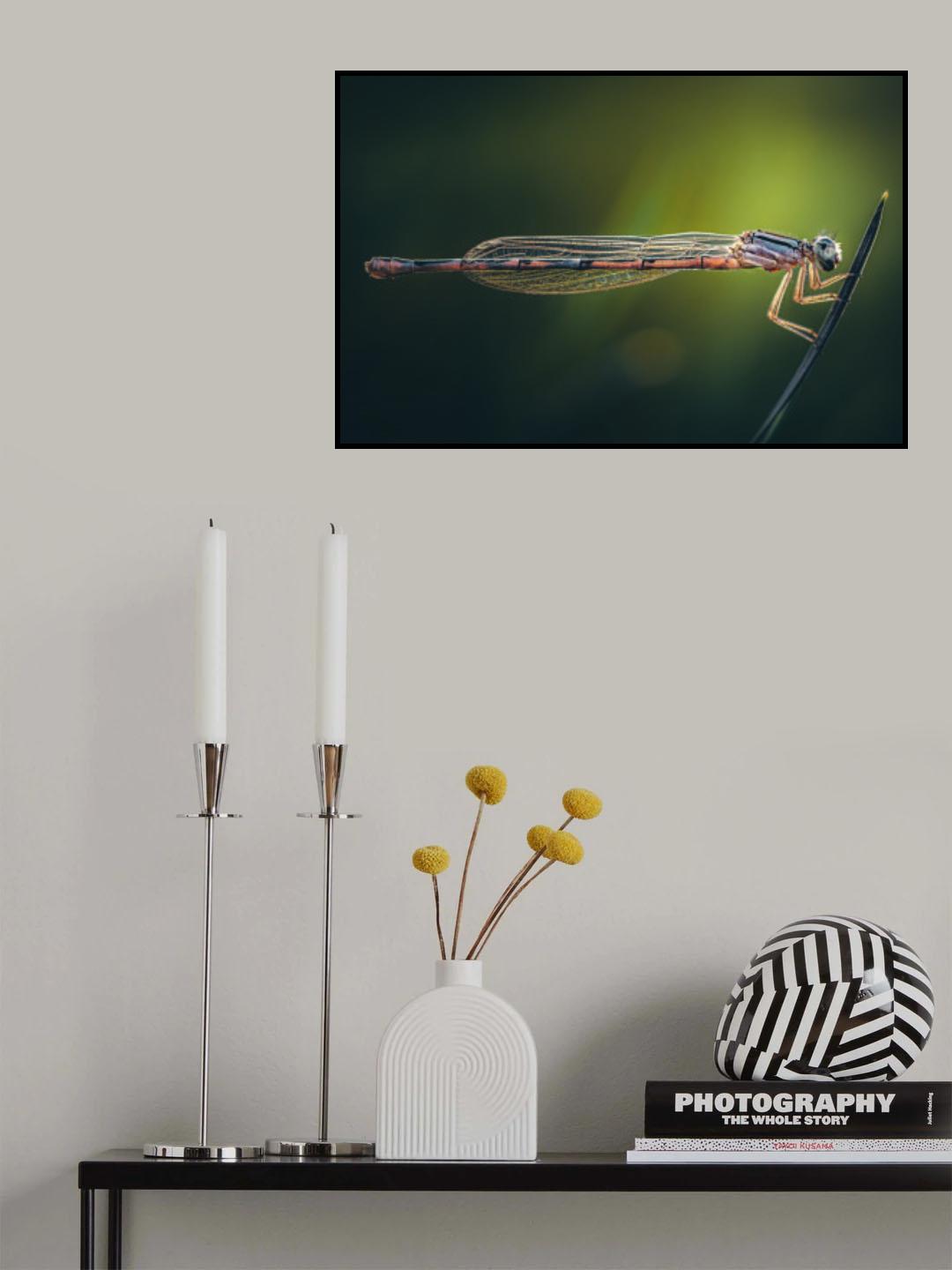 Parallels Poster och Canvastavla