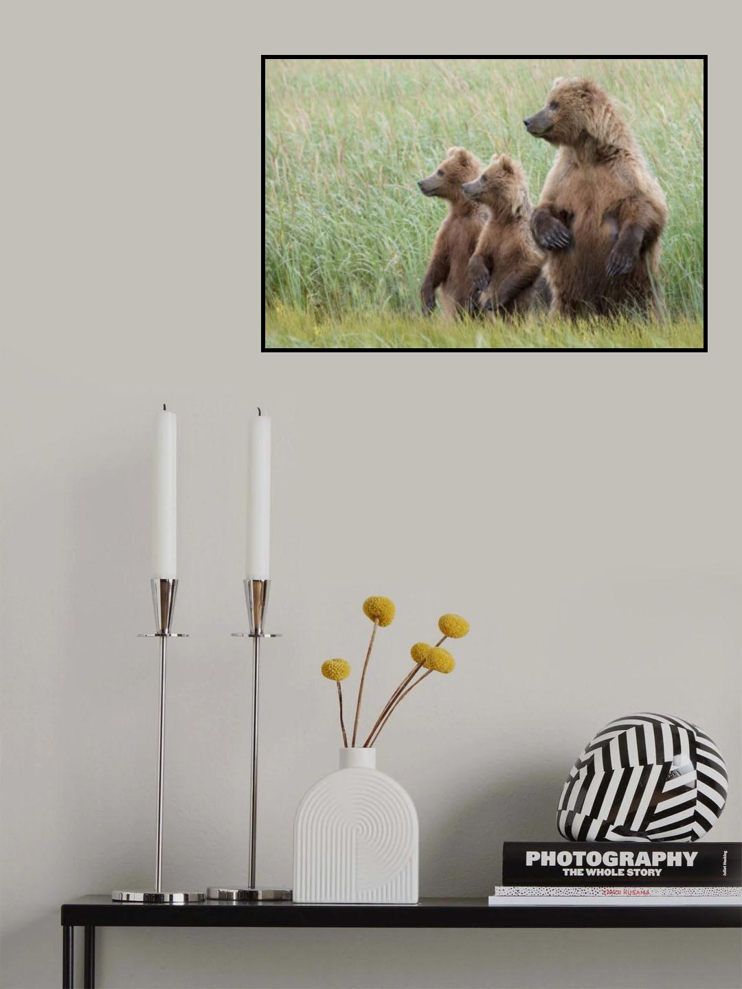 Alert to Their Surroundings Poster och Canvastavla