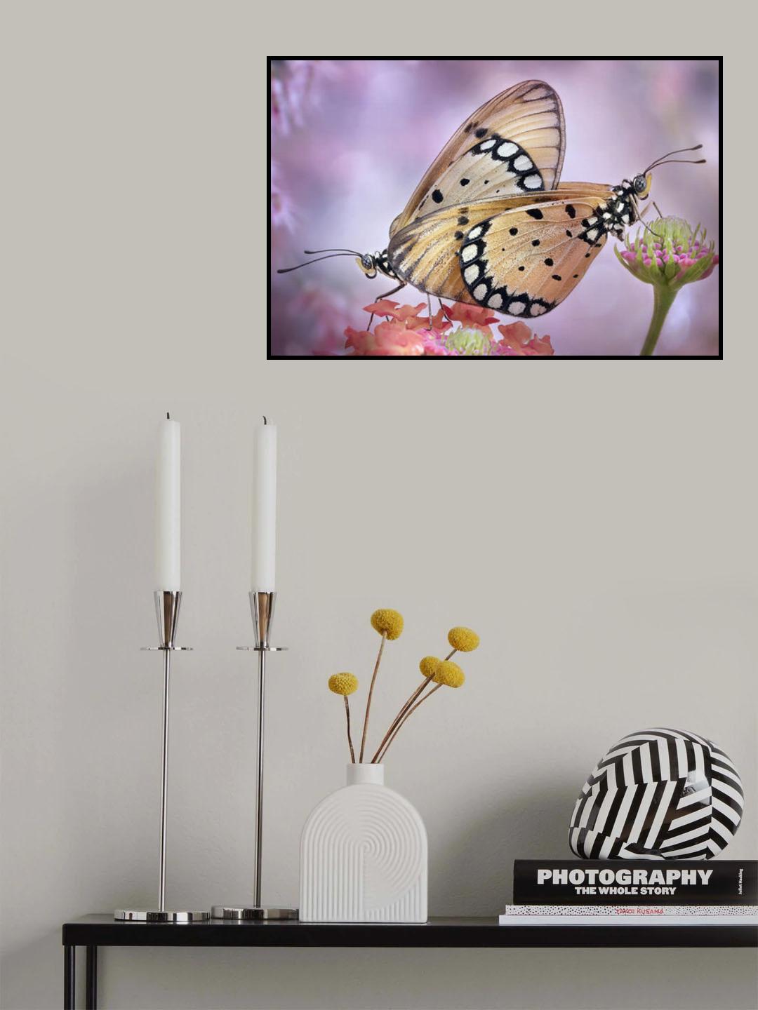 The Love of Butterflies Poster och Canvastavla