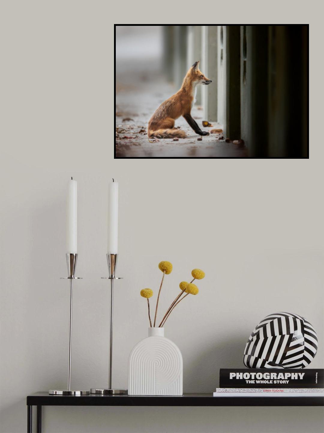 外面的世界 Poster och Canvastavla
