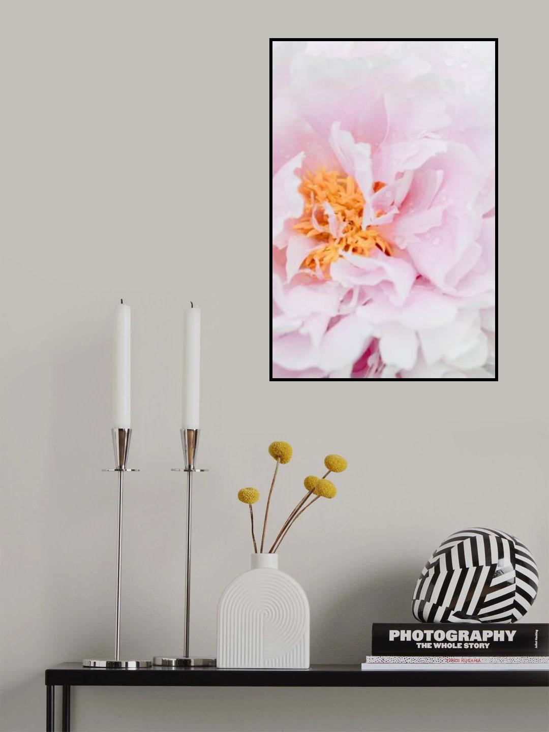 Peony_8 Poster och Canvastavla