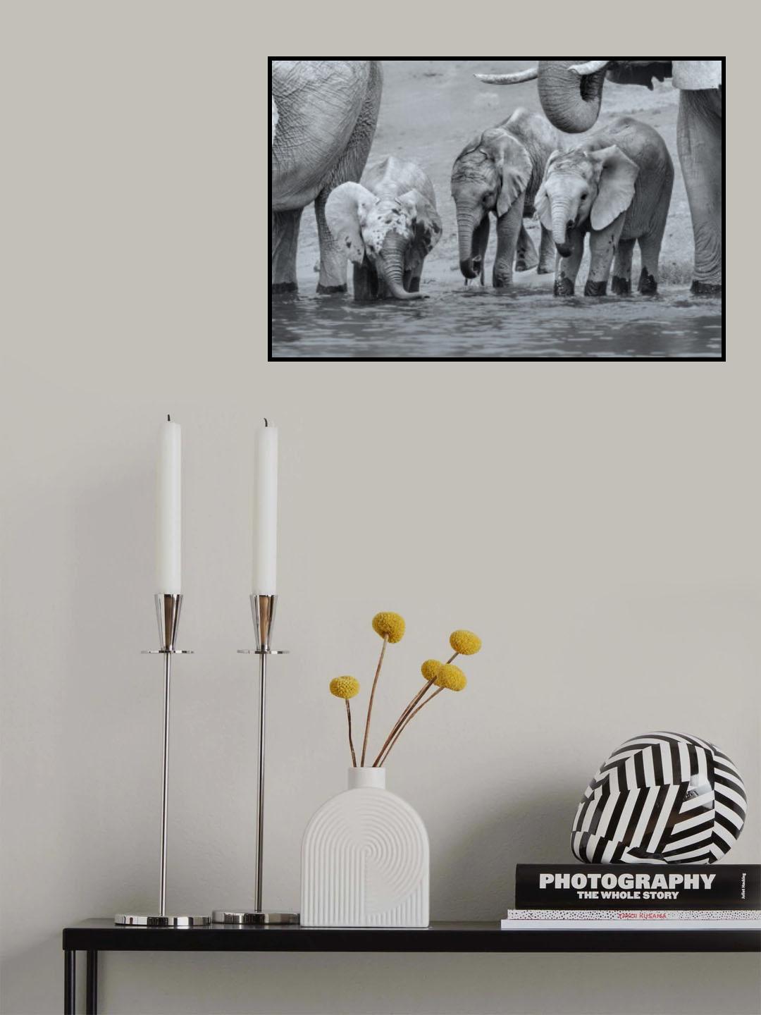 Elephant Babies Poster och Canvastavla
