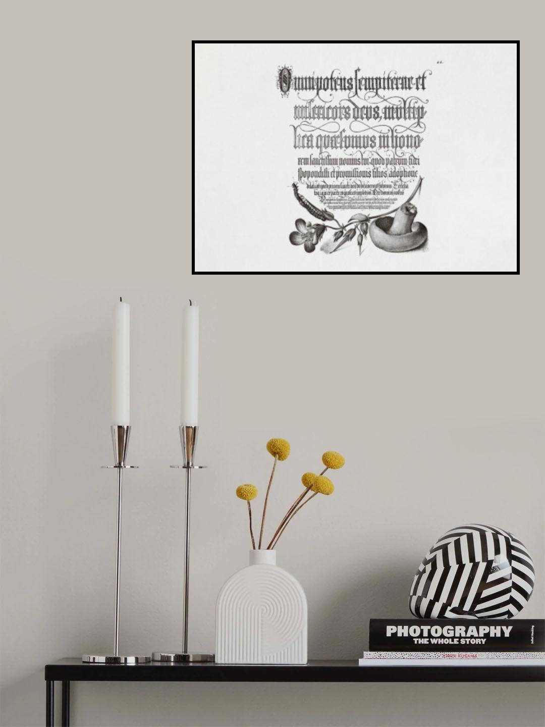 Centipede, Wood Cranesbill, and Mushroom Bw Horizontal Poster och Canvastavla