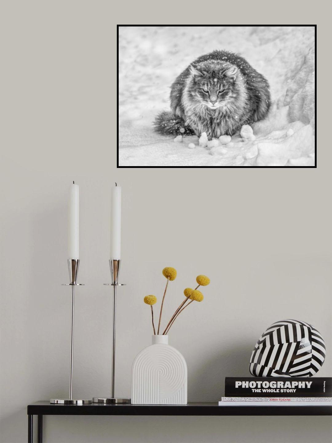Molly in the snow Poster och Canvastavla