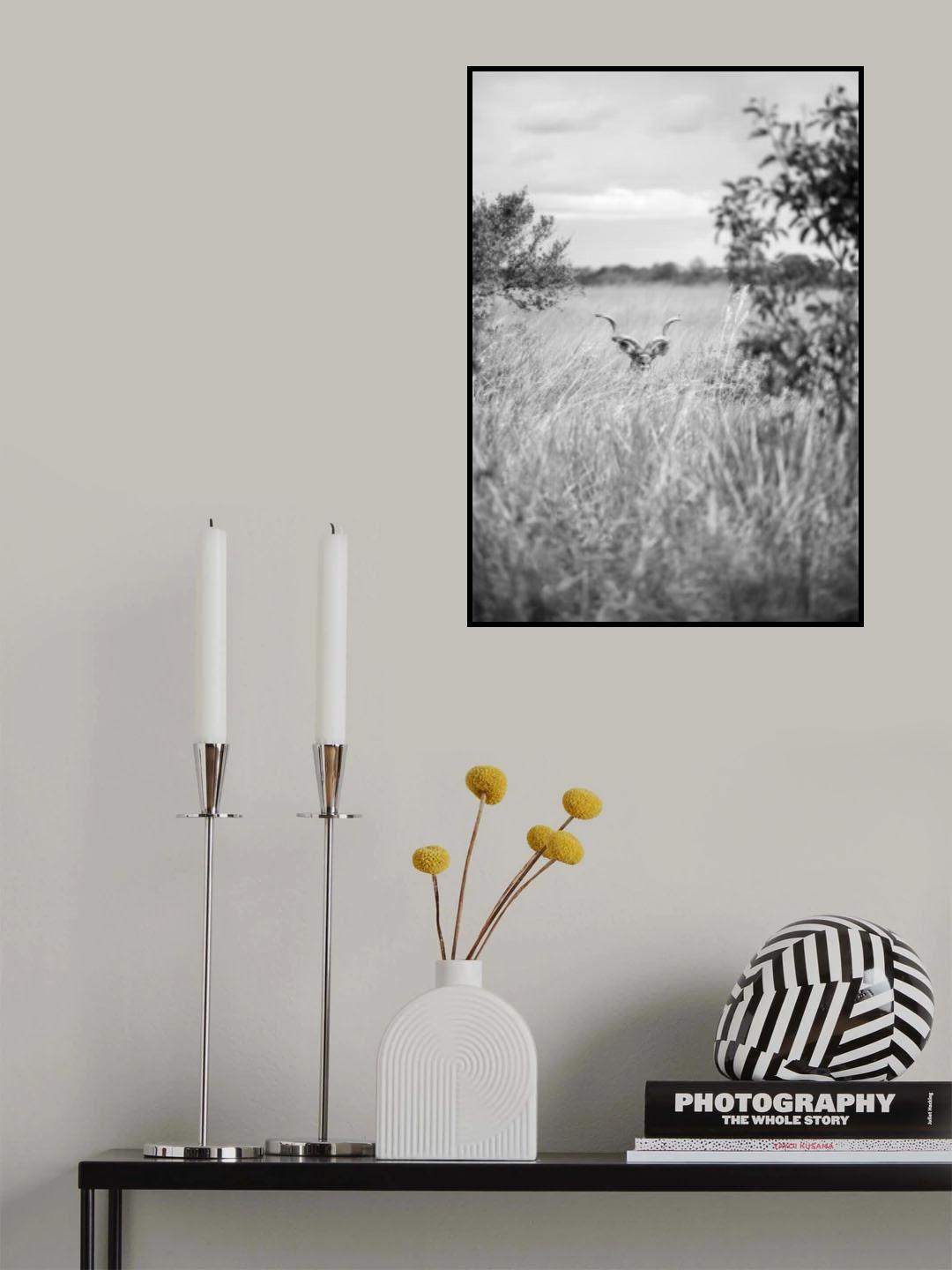 Kudu Poster och Canvastavla