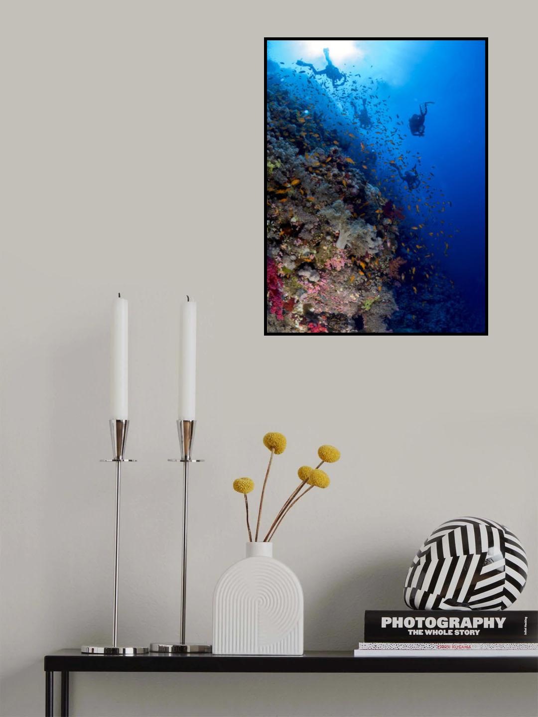 Back from the dive Poster och Canvastavla