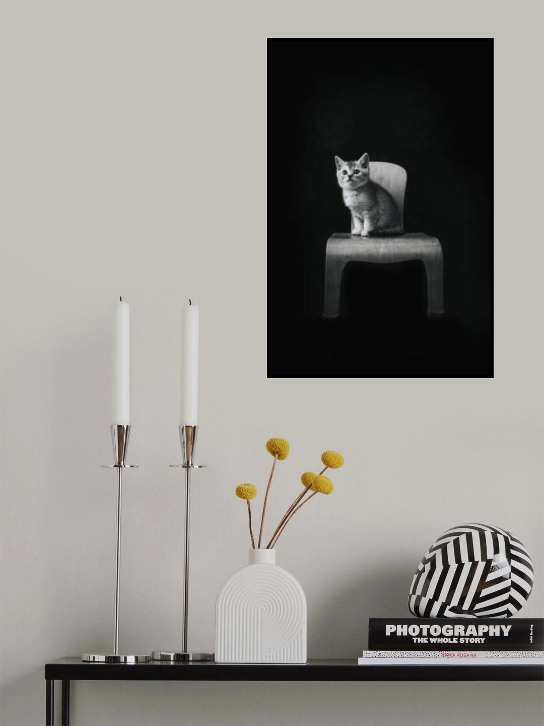 ... ::: The Cat ::: ... Poster och Canvastavla