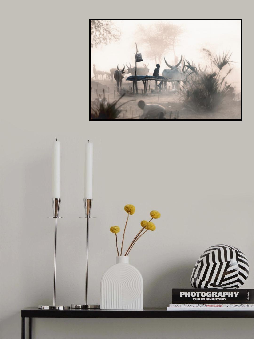 Afternoon in a Mundari Camp Poster och Canvastavla