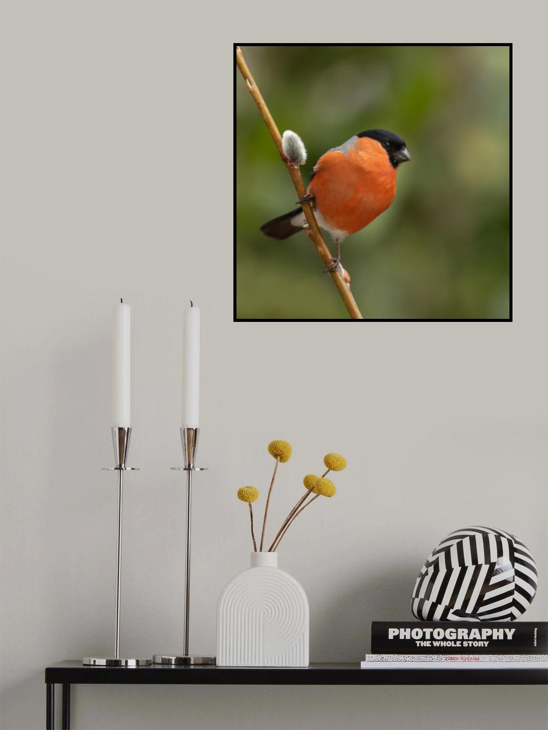 Almost spring! Poster och Canvastavla