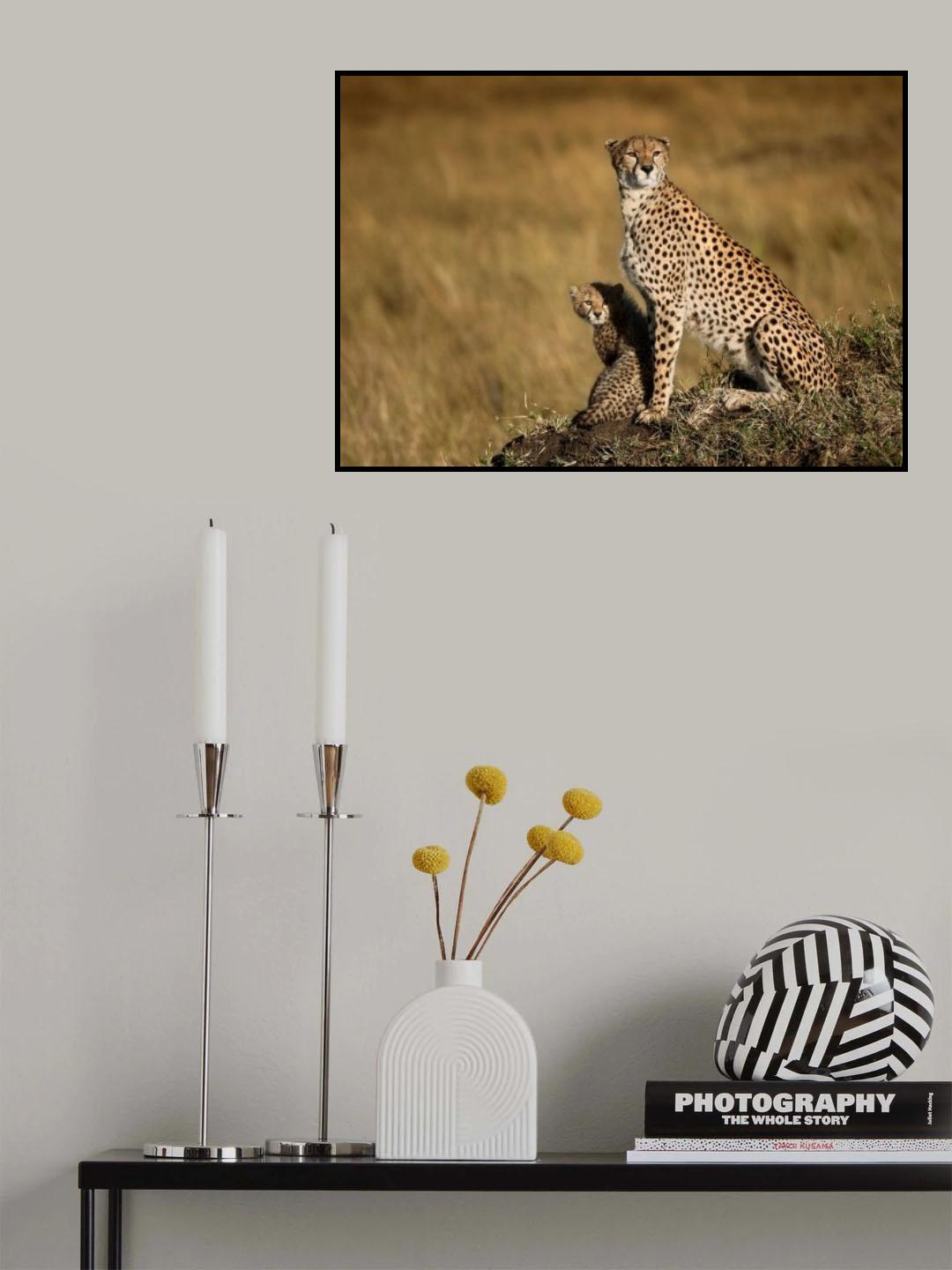 Malaika Poster och Canvastavla