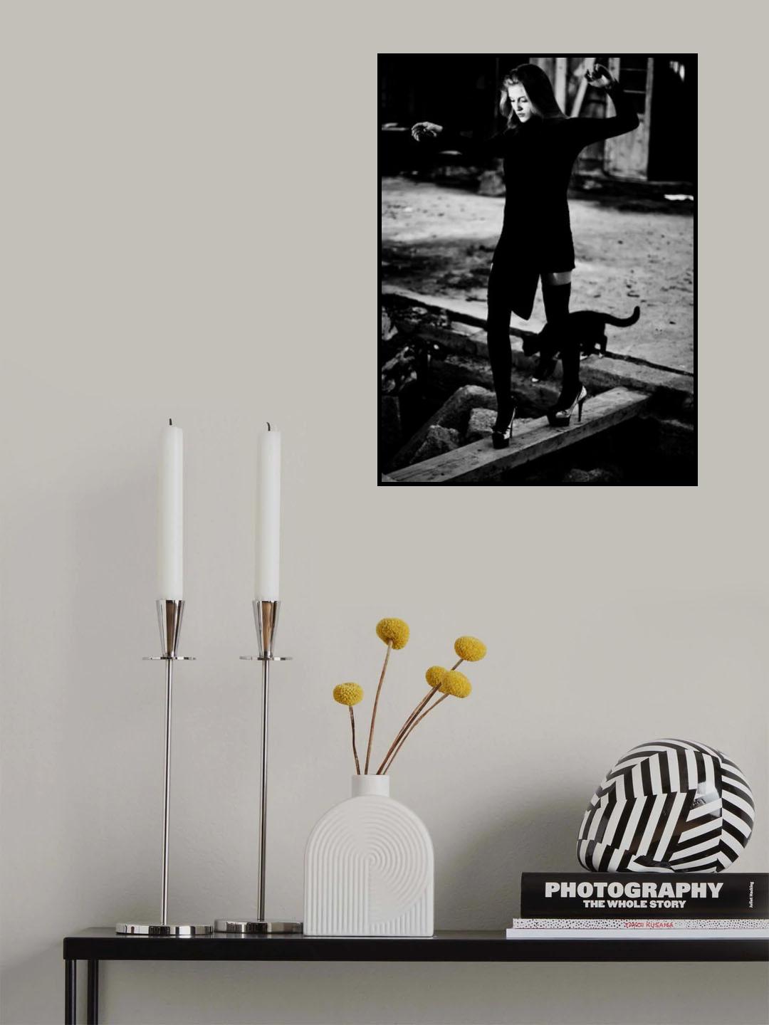 CATwalk Poster och Canvastavla