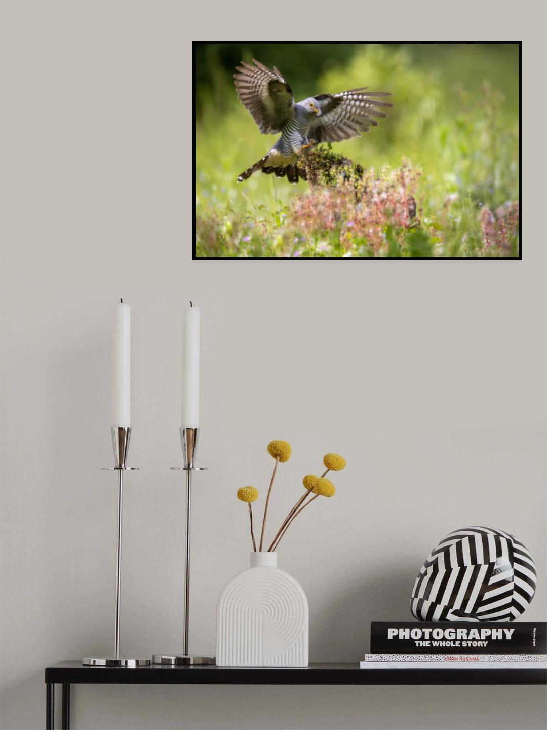 Cuckoo Landing Poster och Canvastavla