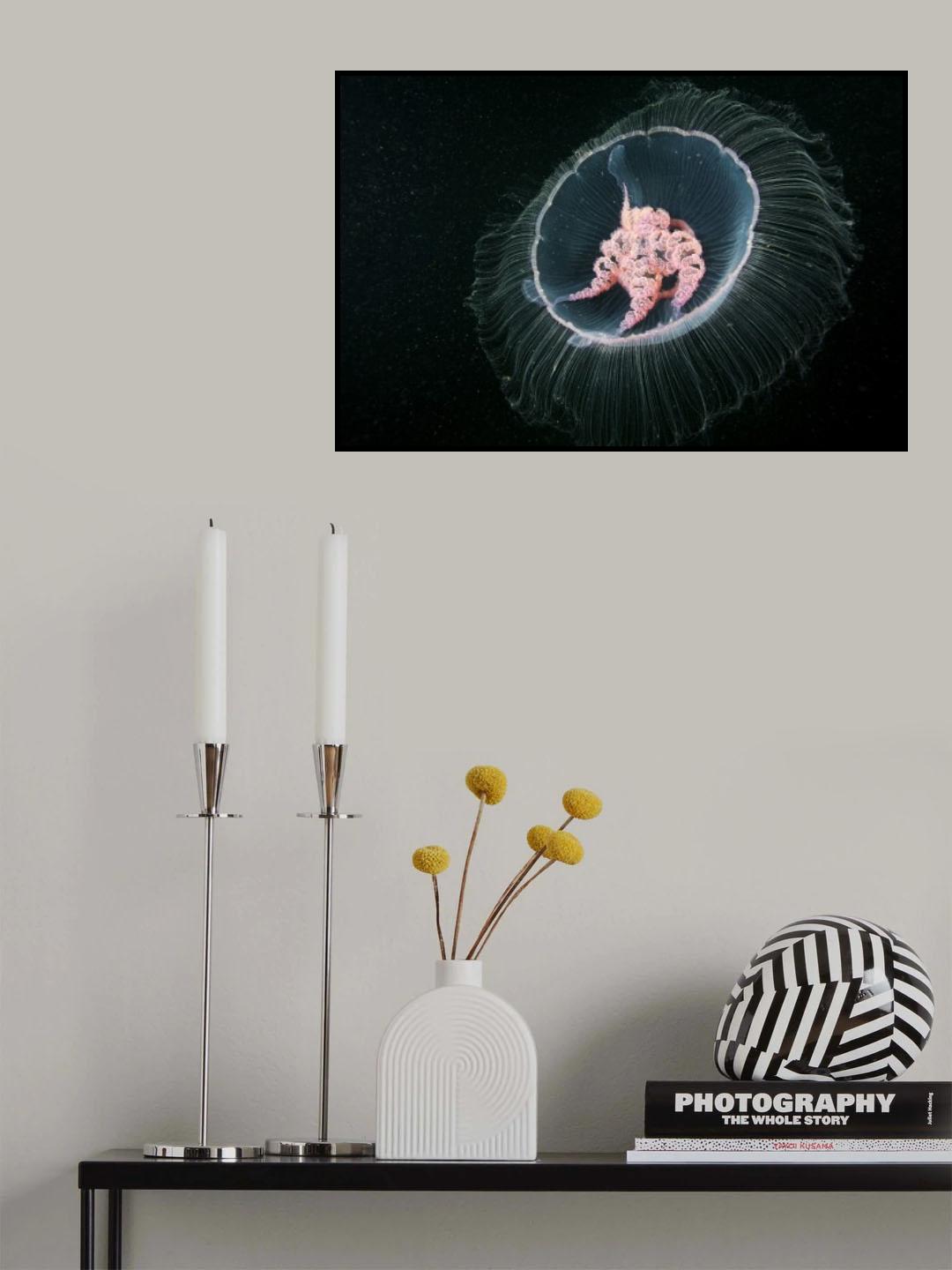 Cold sun Poster och Canvastavla
