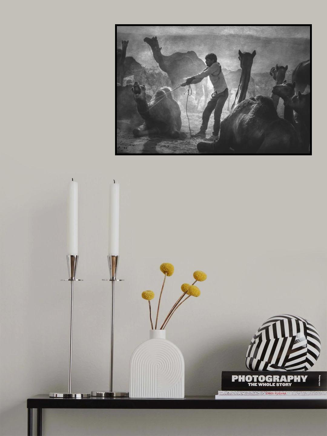 Pushkar Poster och Canvastavla