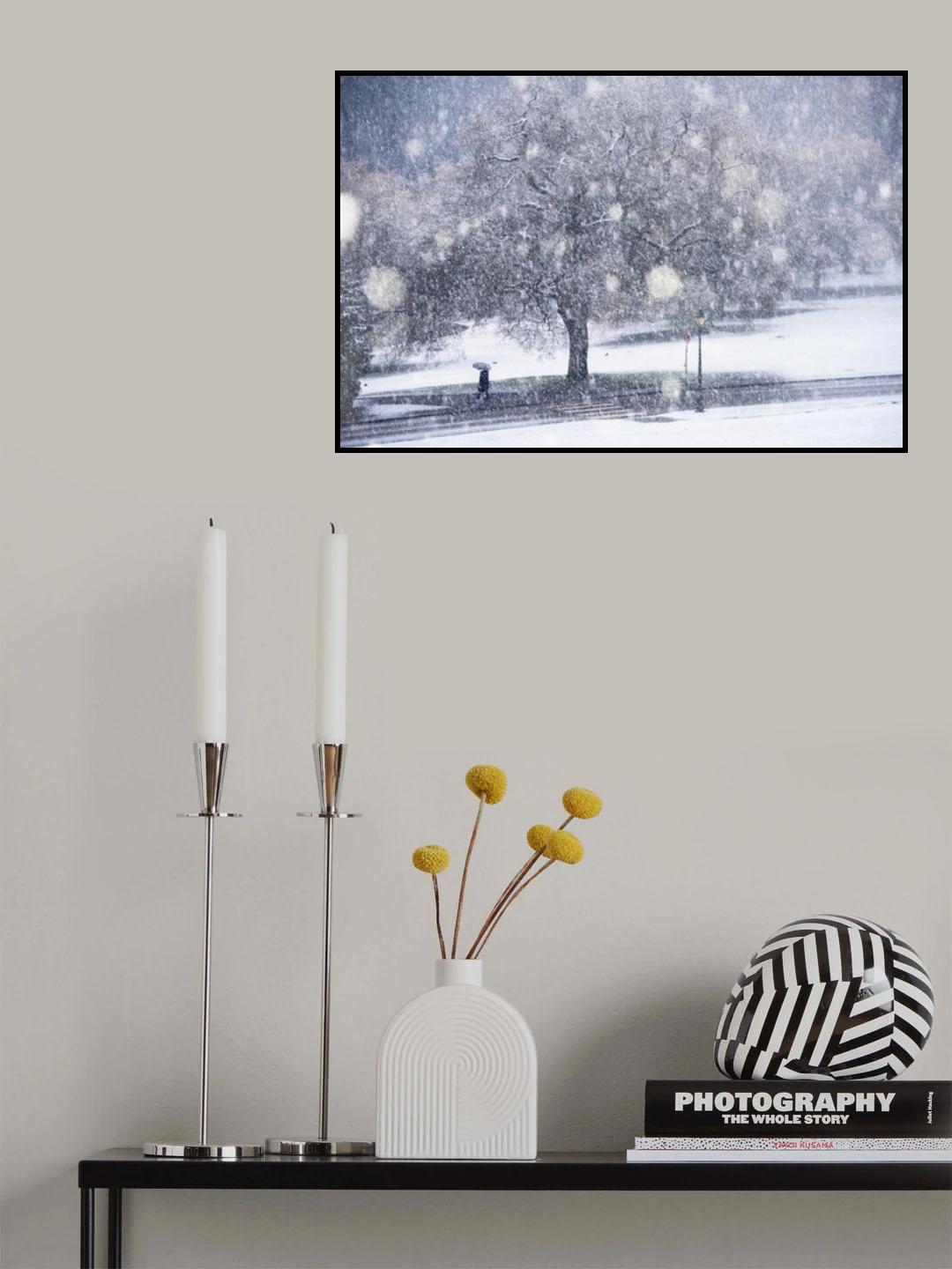 The silhouette Poster och Canvastavla