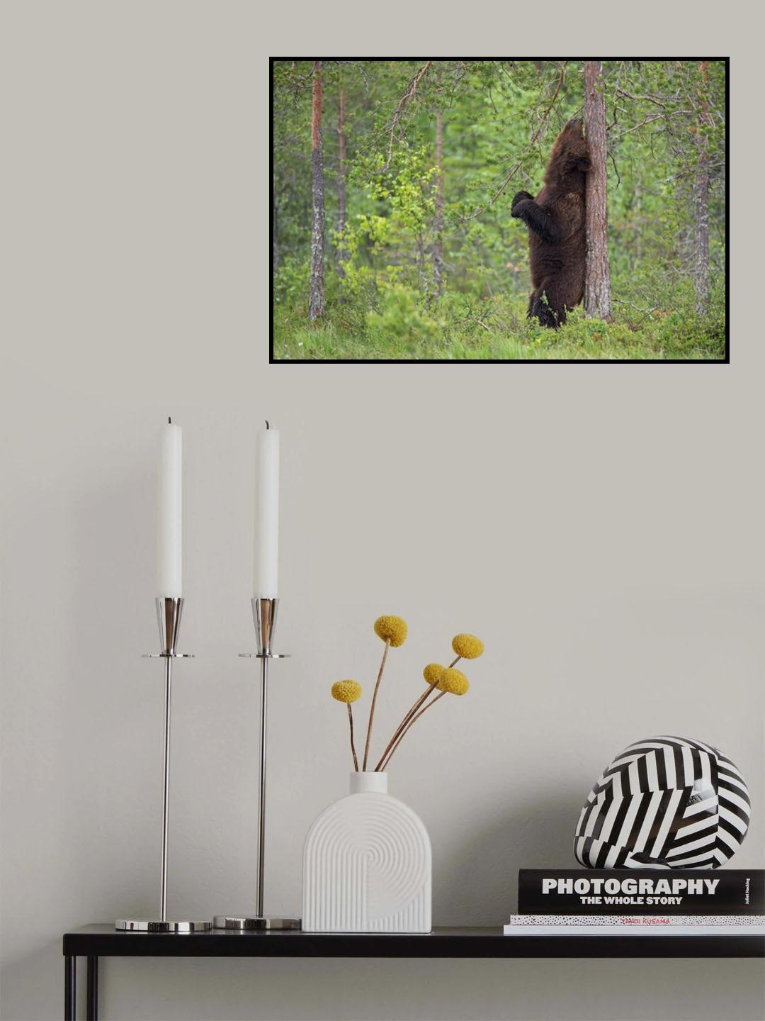 Scratching Poster och Canvastavla