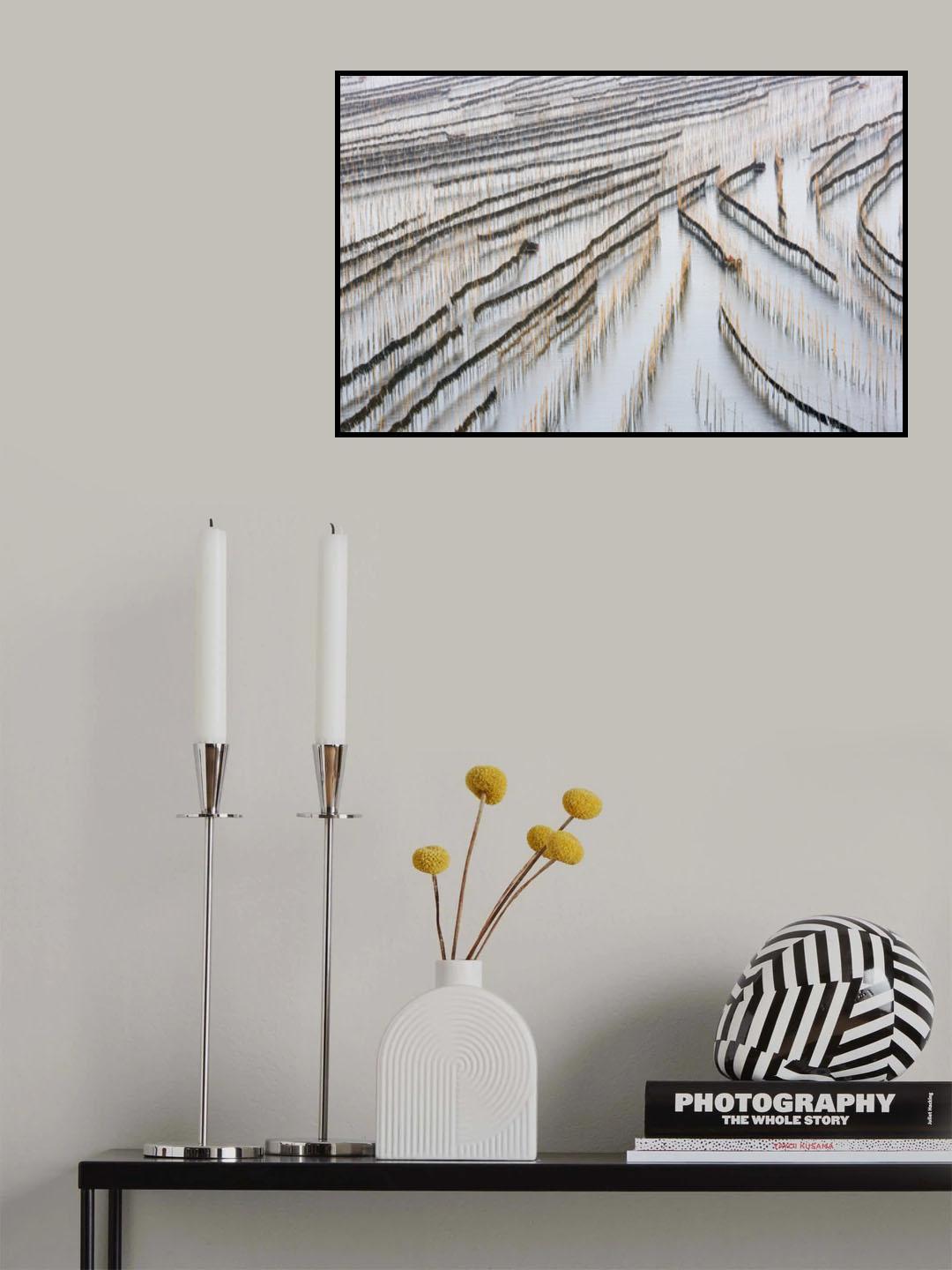 Harvesting kelp Poster och Canvastavla