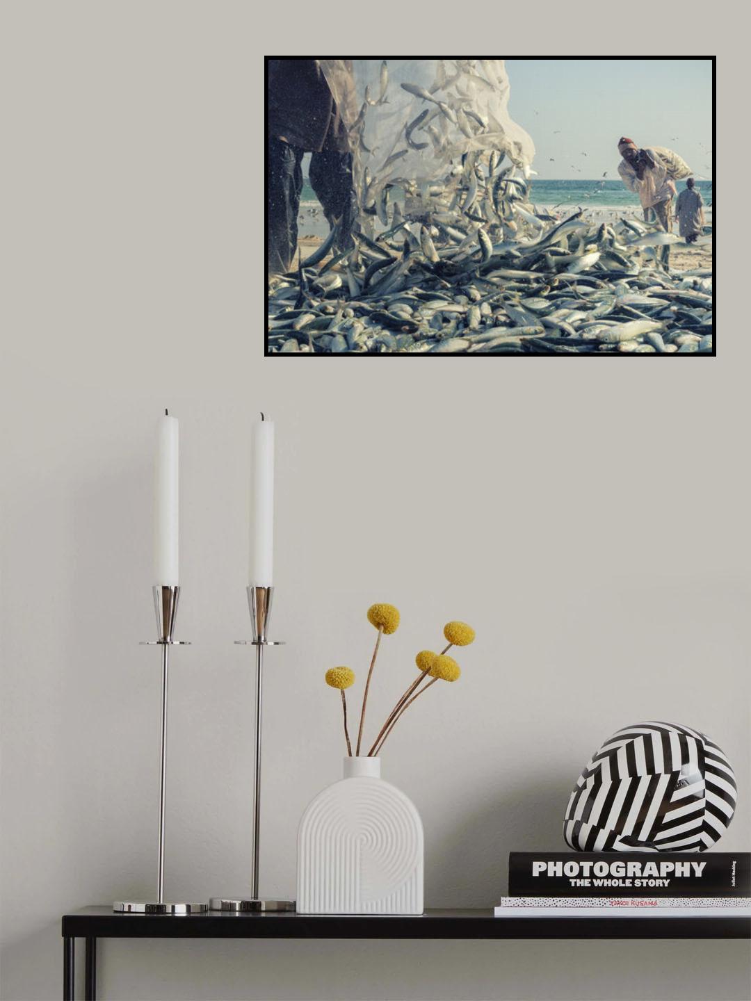 Fishing Sardine Poster och Canvastavla