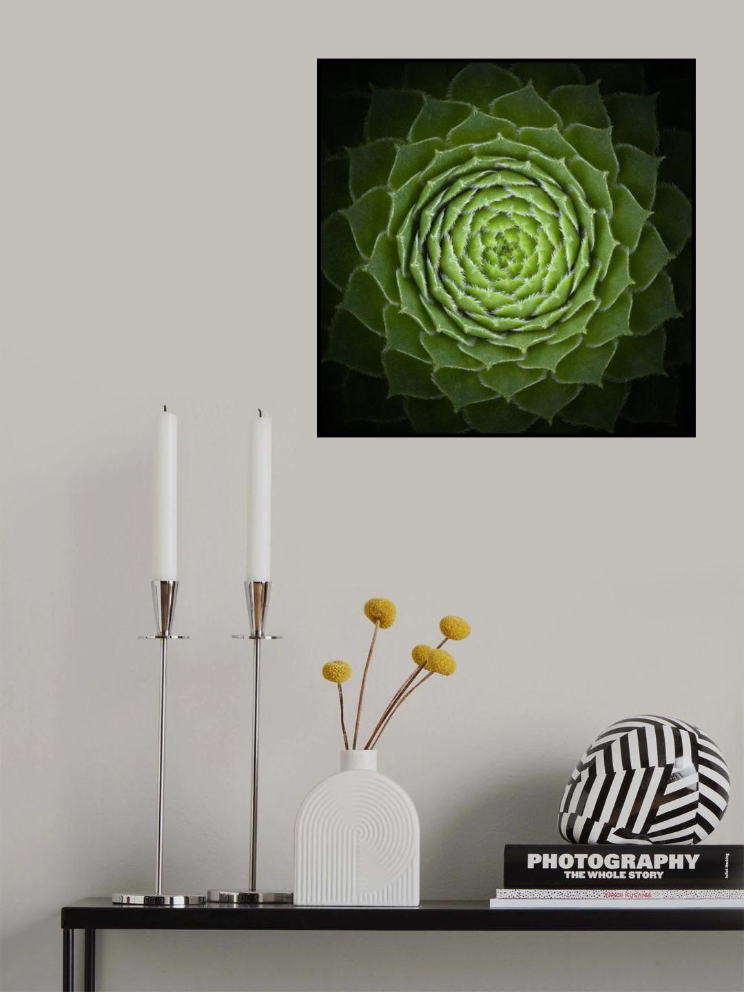 Succulent Poster och Canvastavla