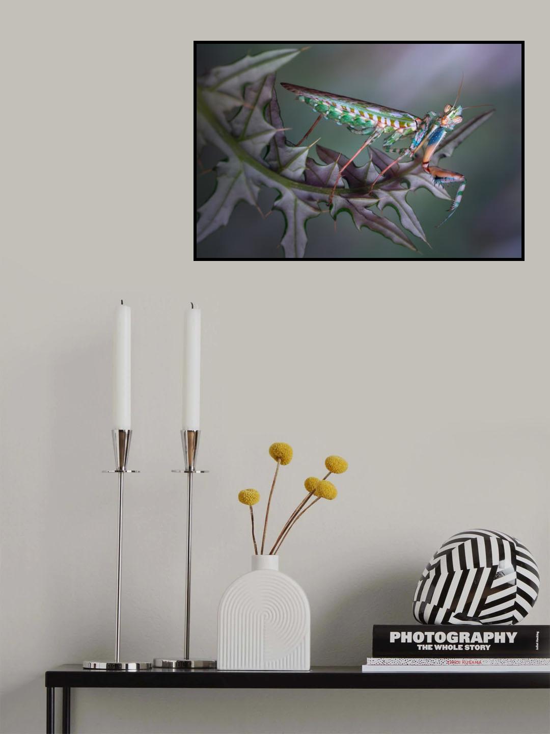 Spiny Poster och Canvastavla