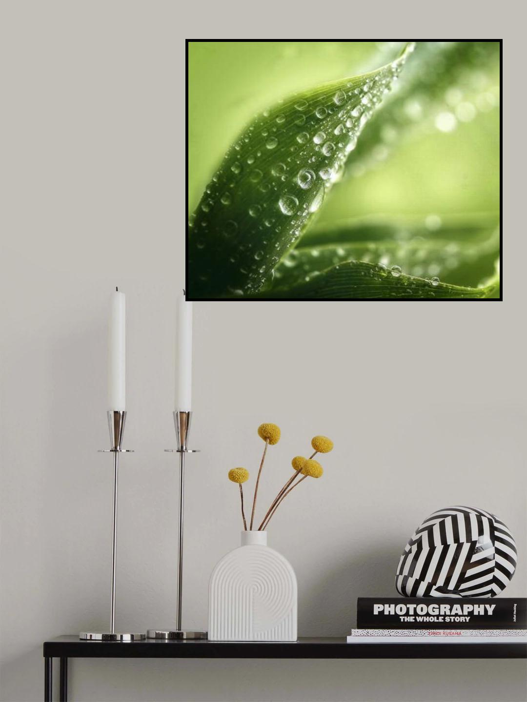 green leaf Poster och Canvastavla