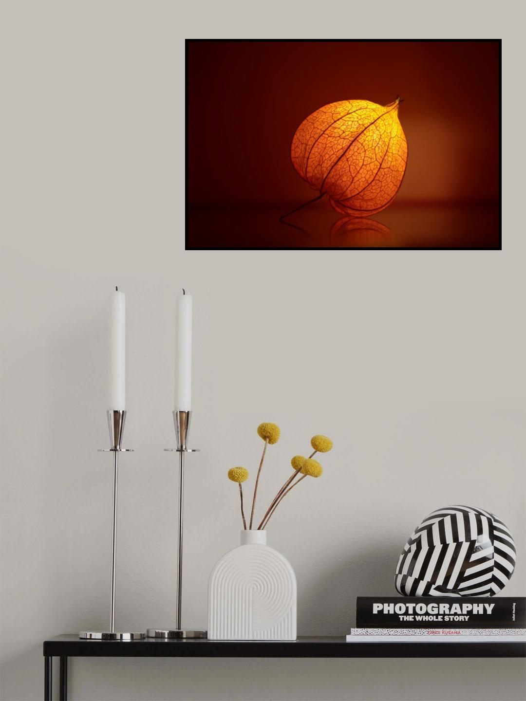 Magic Lantern Poster och Canvastavla