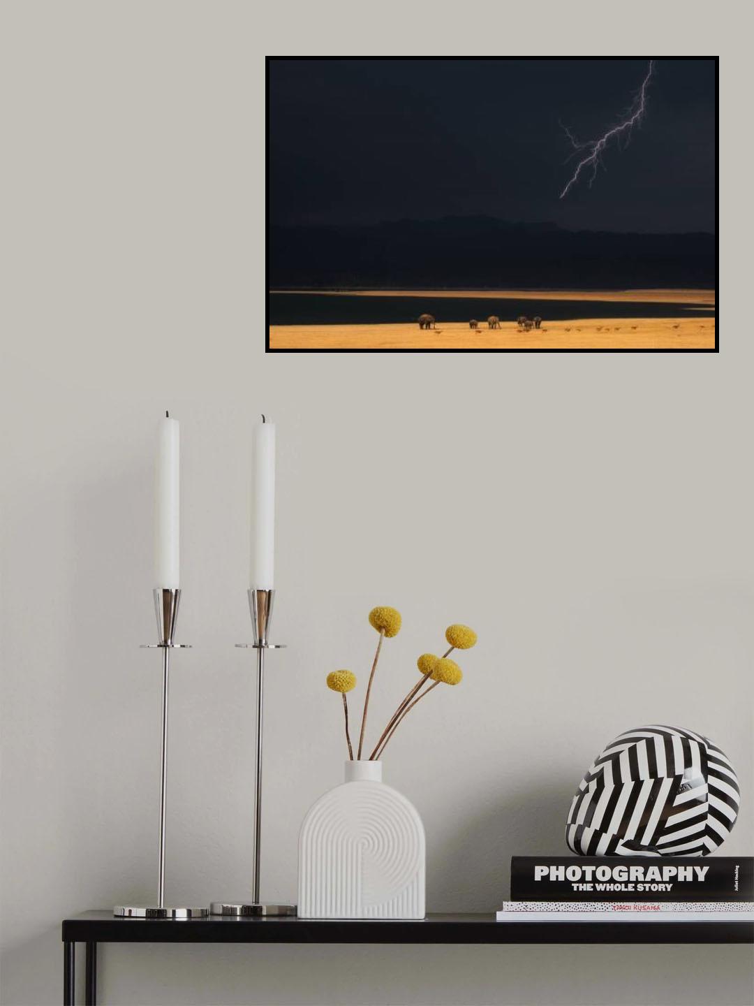 Spotlights Poster och Canvastavla