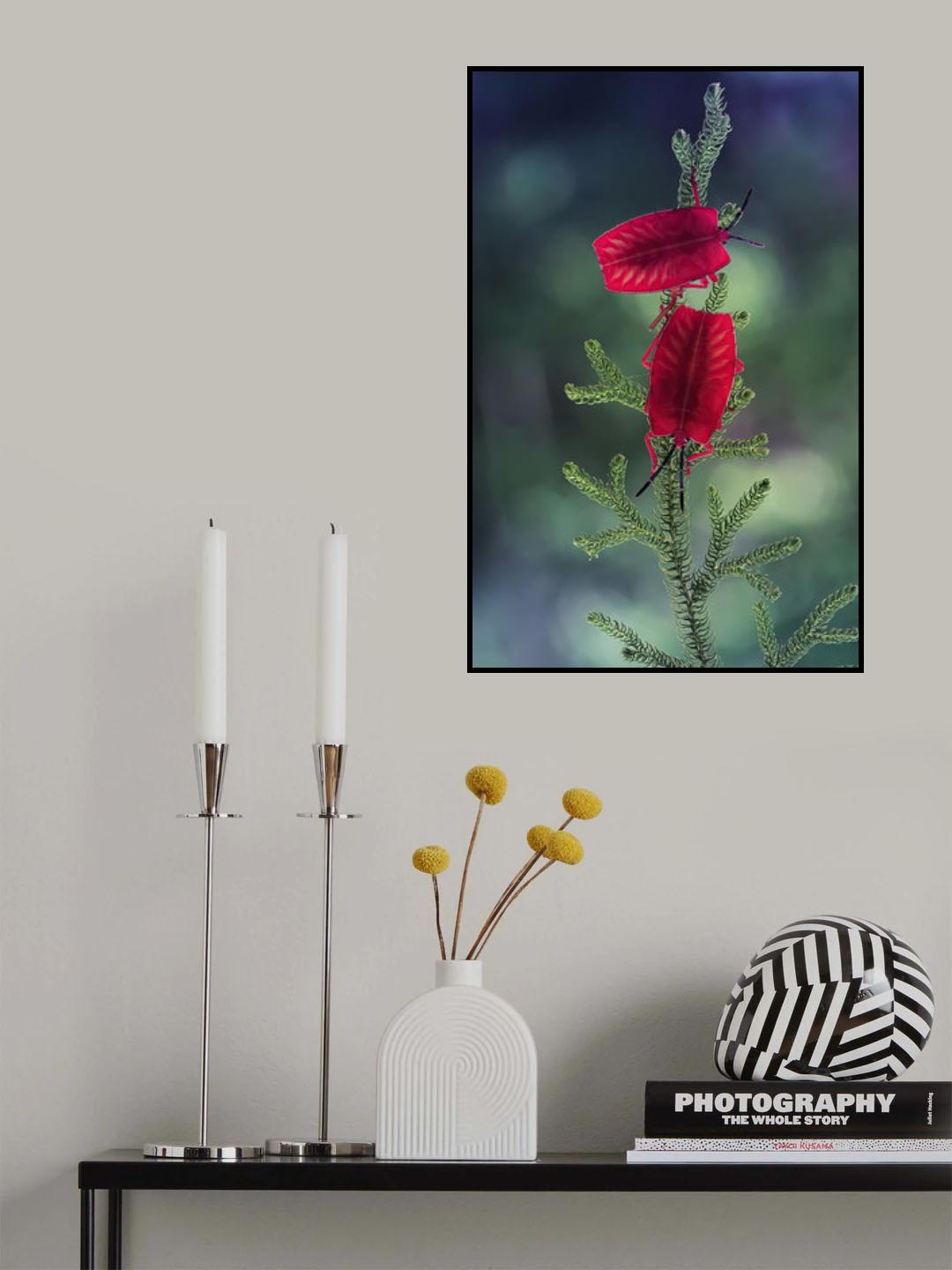 Red Ladybug Poster och Canvastavla