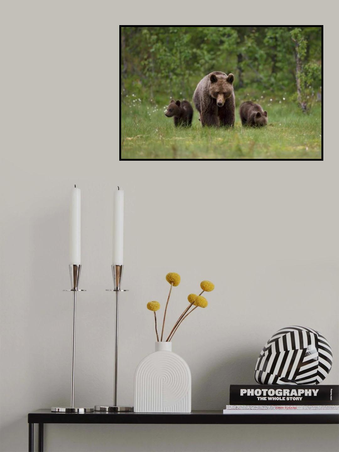 Walking on the grass Poster och Canvastavla
