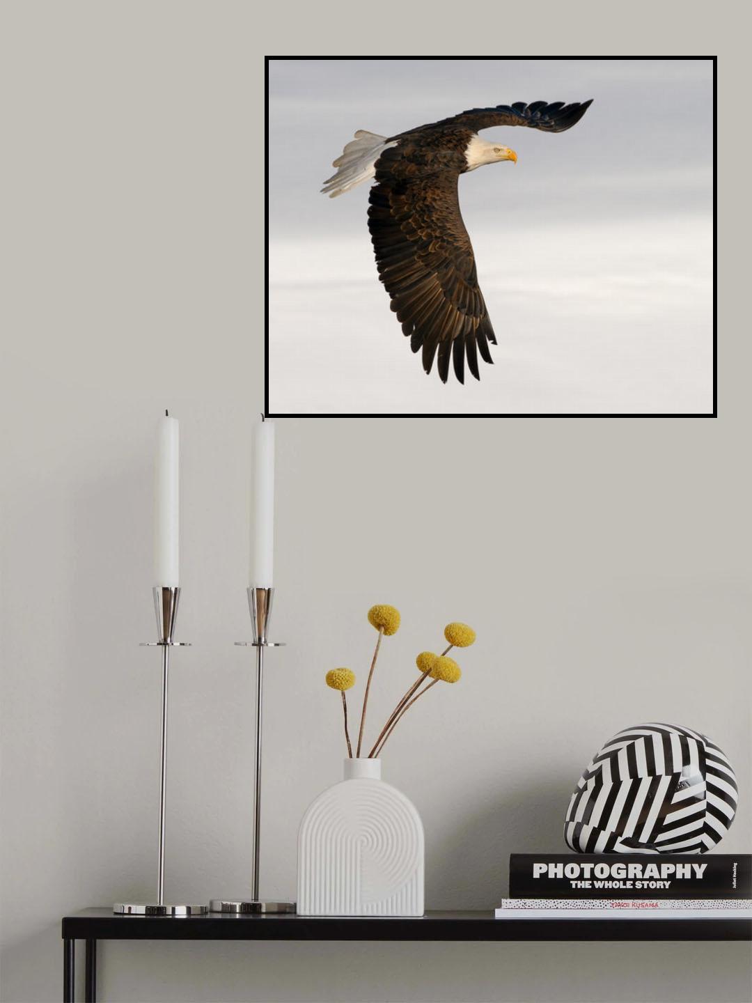 Turn Around Poster och Canvastavla