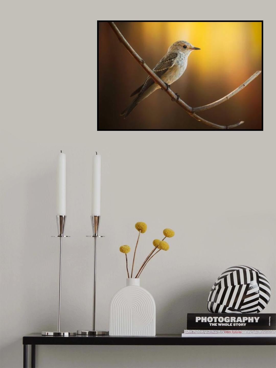 Golden Serenity... Poster och Canvastavla