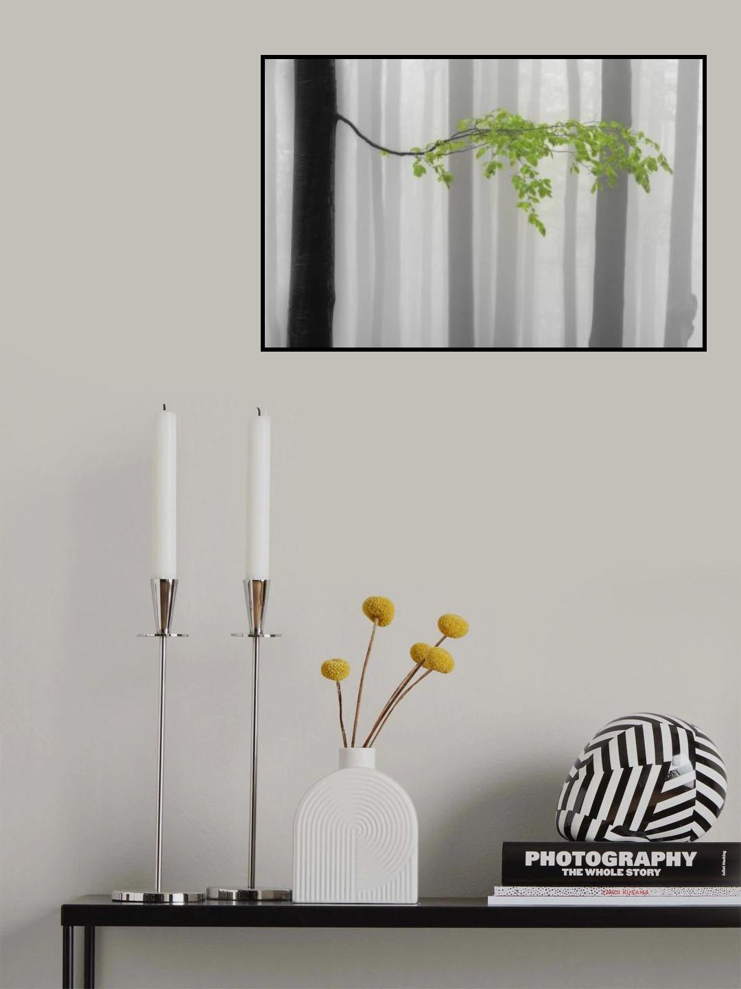 Spring leaves Poster och Canvastavla