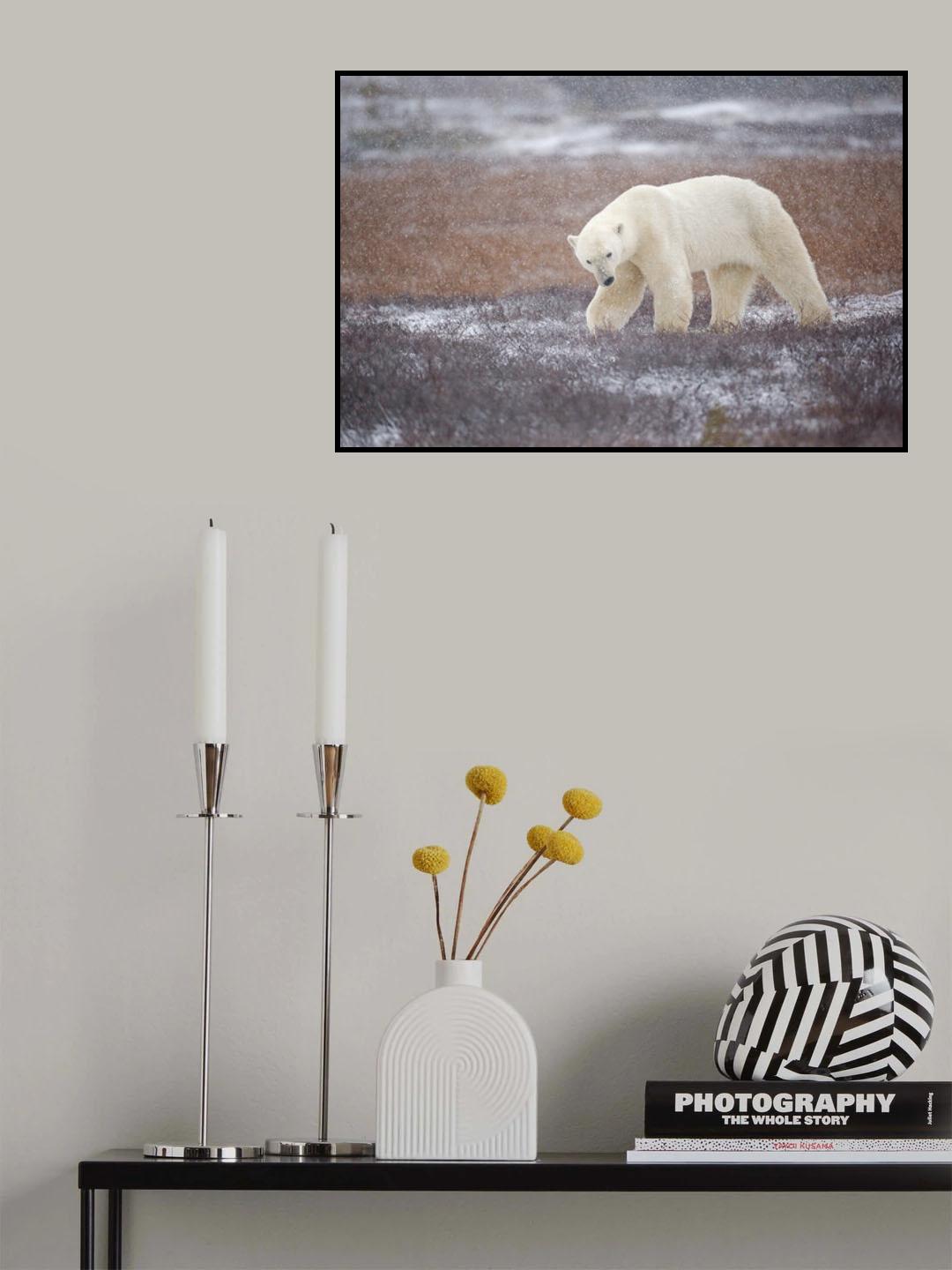 Snowfall Poster och Canvastavla