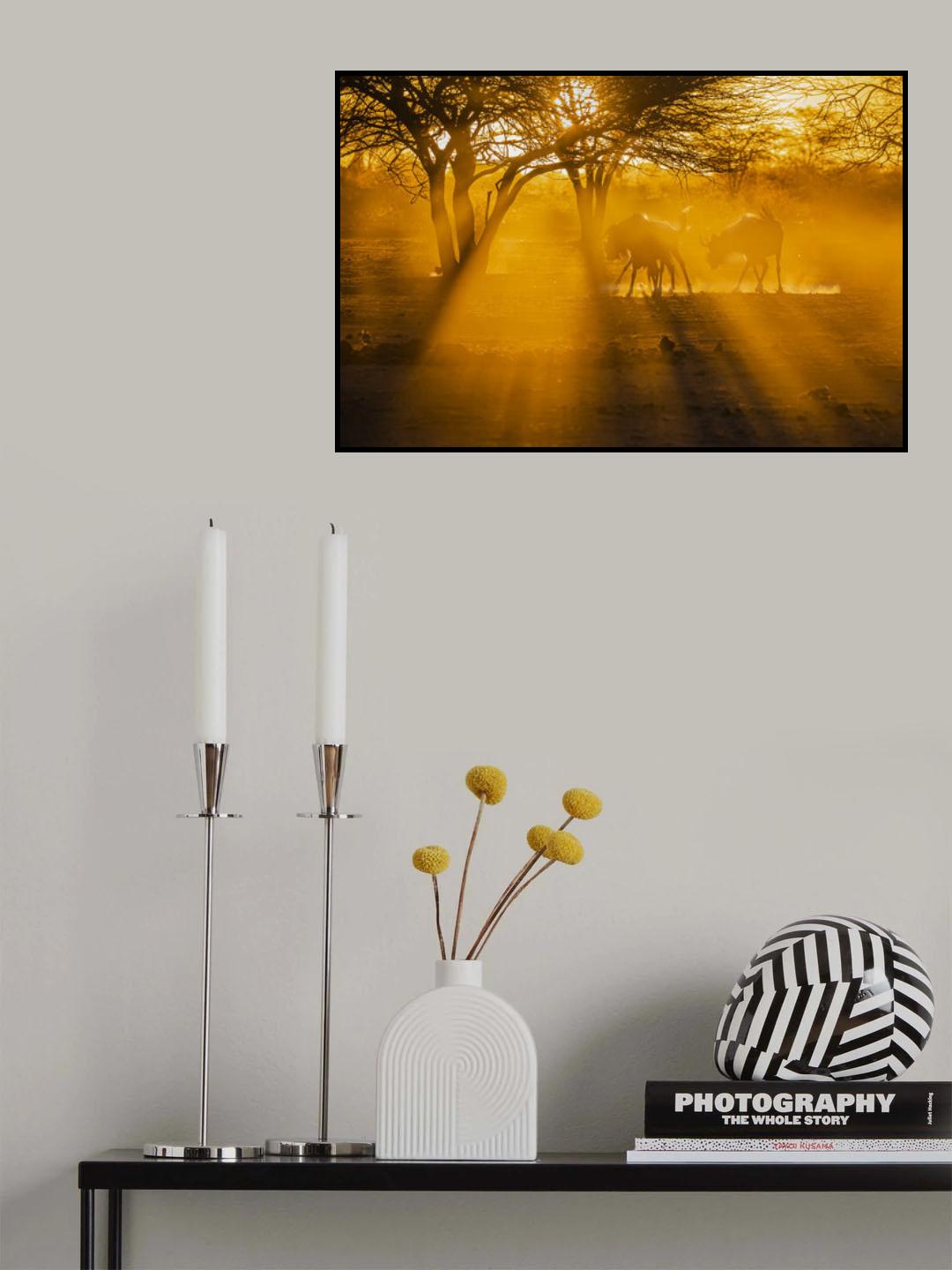 I am gonna catch u! Poster och Canvastavla