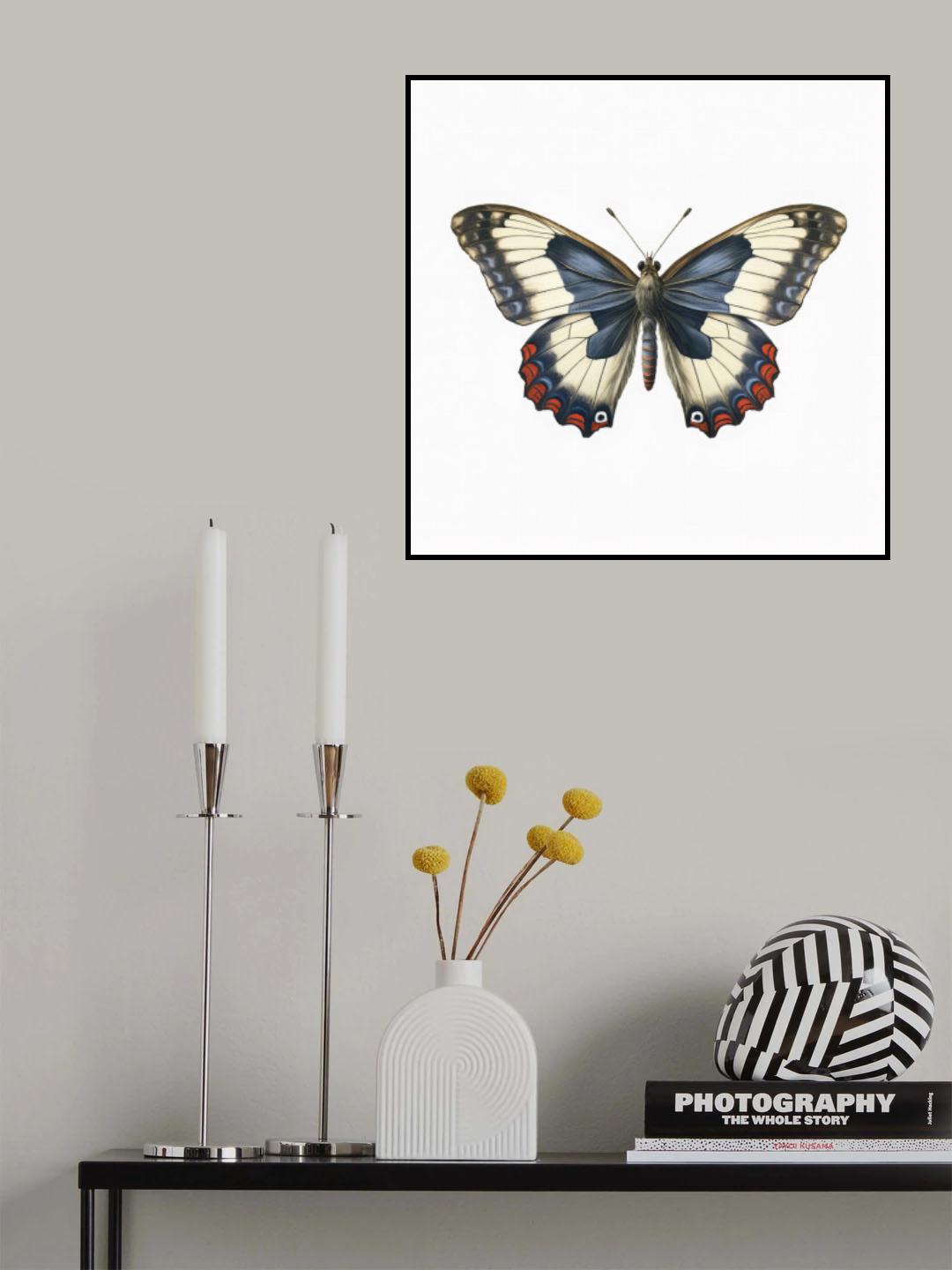 Butterfly 26 Poster och Canvastavla