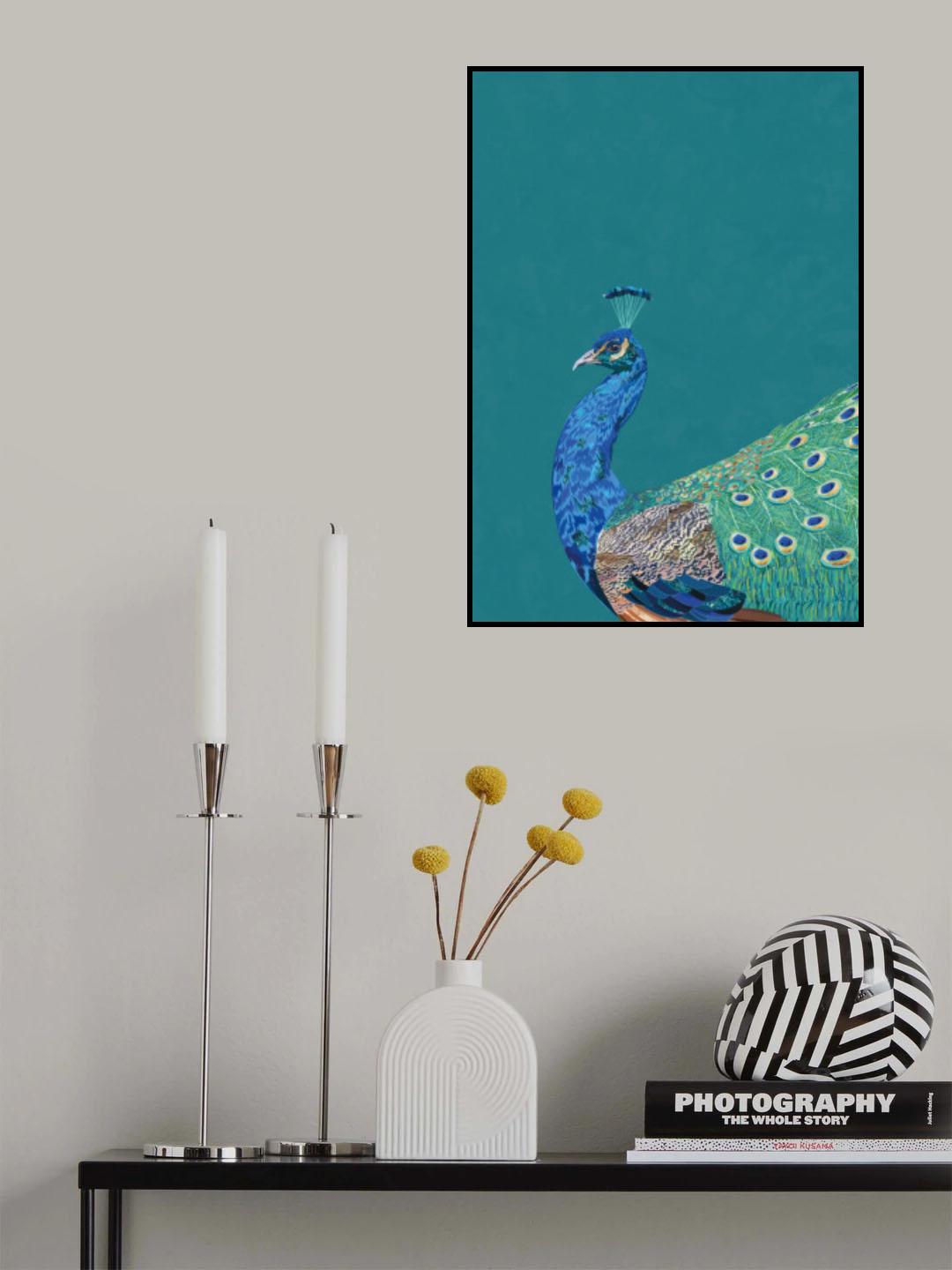 Turquoise peacock Poster och Canvastavla