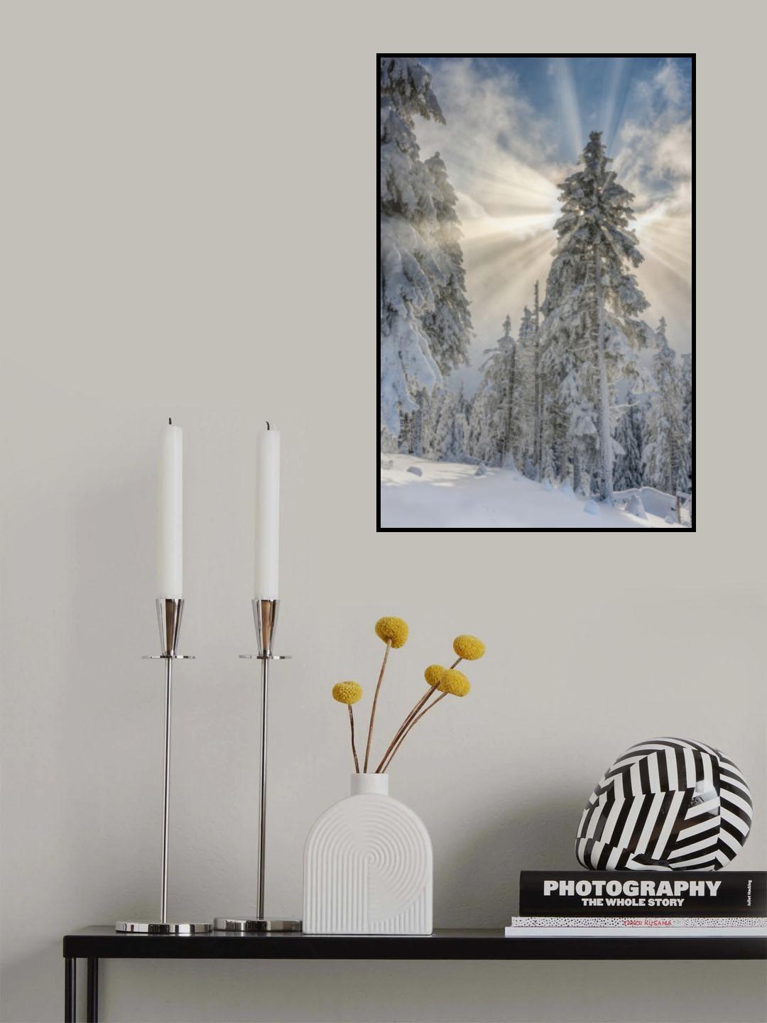 Divine lights Poster och Canvastavla